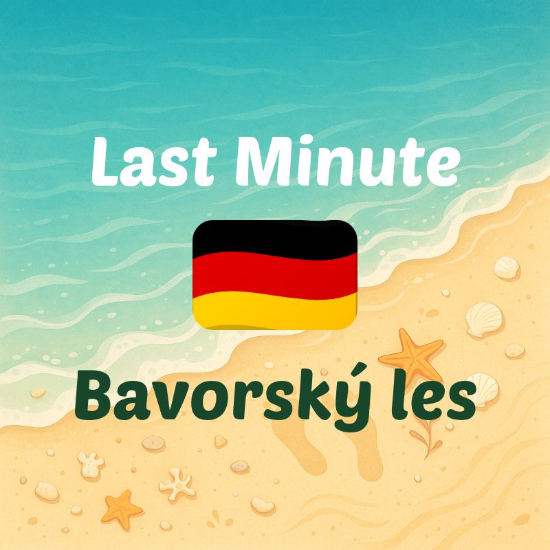 bavorsky-les